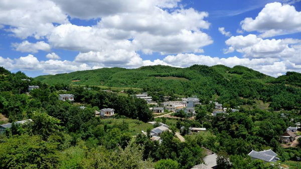 關(guān)于大學生15項賽事合作單位中標結(jié)果的公告